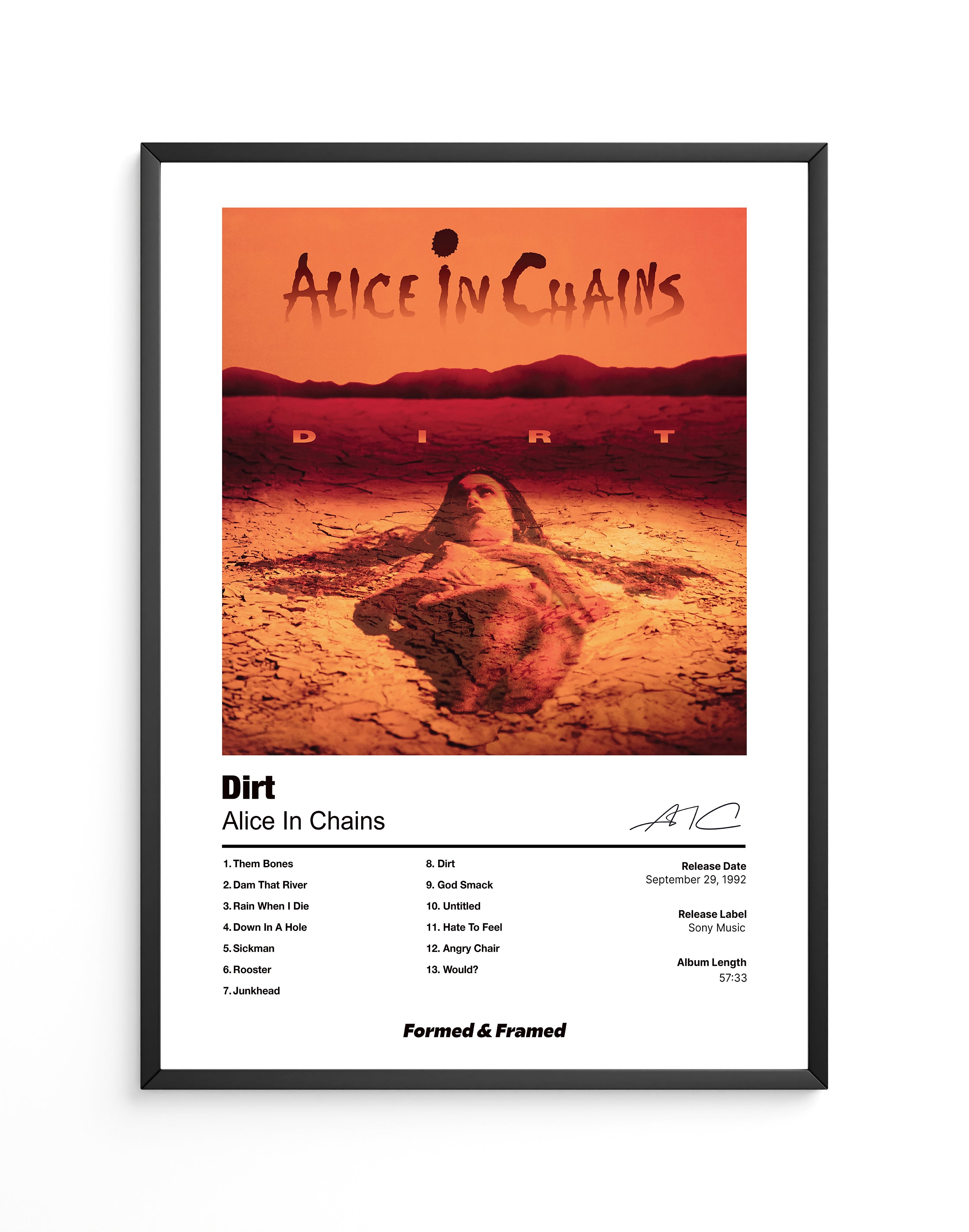 Dirt - Framed